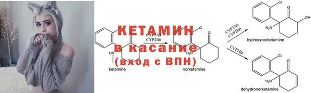 стафф Бородино