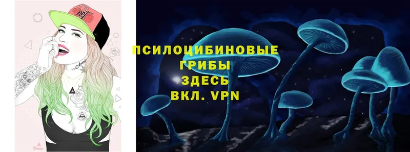 Галлюциногенные грибы ЛСД  где купить наркоту  Надым 